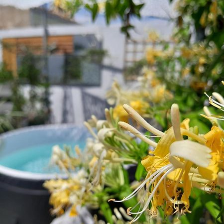 艾格-莫尔特Le Petit Patio住宿加早餐旅馆 外观 照片