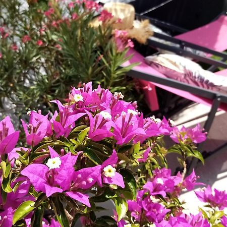 艾格-莫尔特Le Petit Patio住宿加早餐旅馆 外观 照片