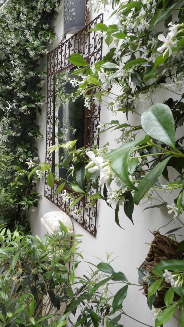 艾格-莫尔特Le Petit Patio住宿加早餐旅馆 外观 照片