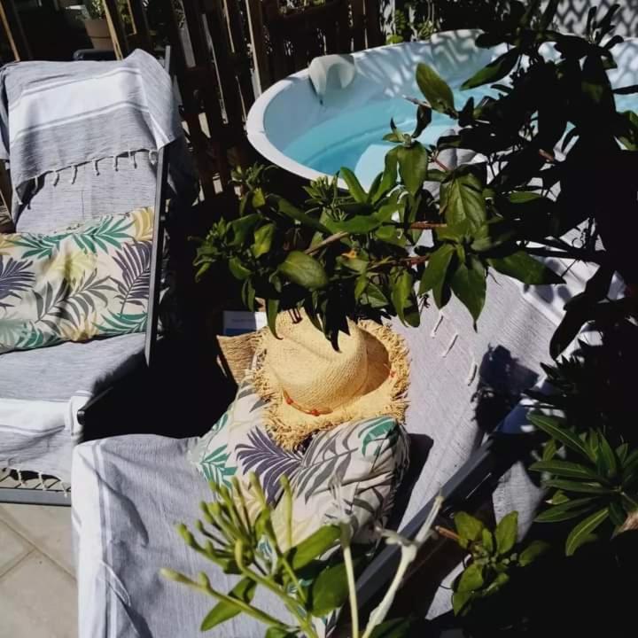 艾格-莫尔特Le Petit Patio住宿加早餐旅馆 外观 照片