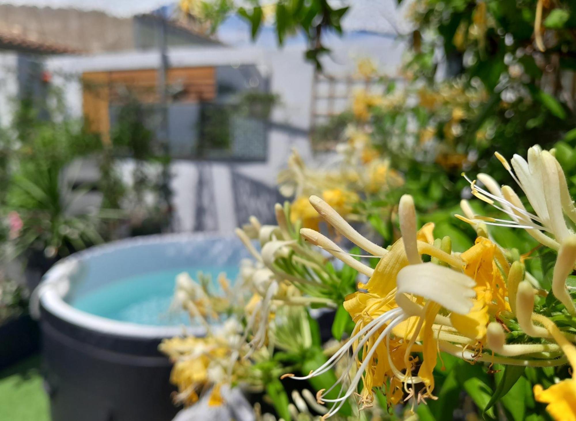 艾格-莫尔特Le Petit Patio住宿加早餐旅馆 外观 照片