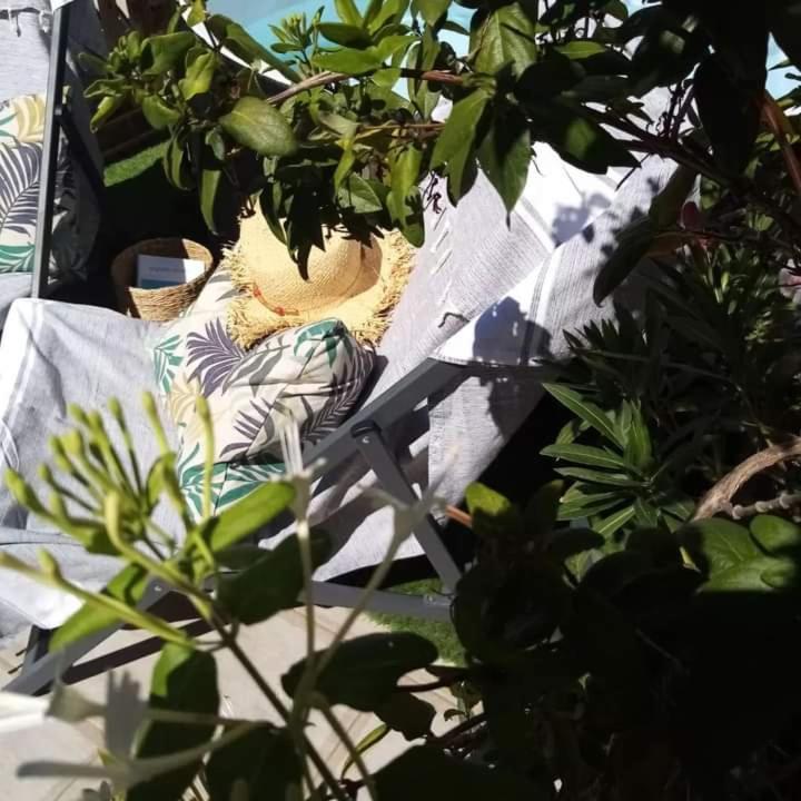 艾格-莫尔特Le Petit Patio住宿加早餐旅馆 外观 照片