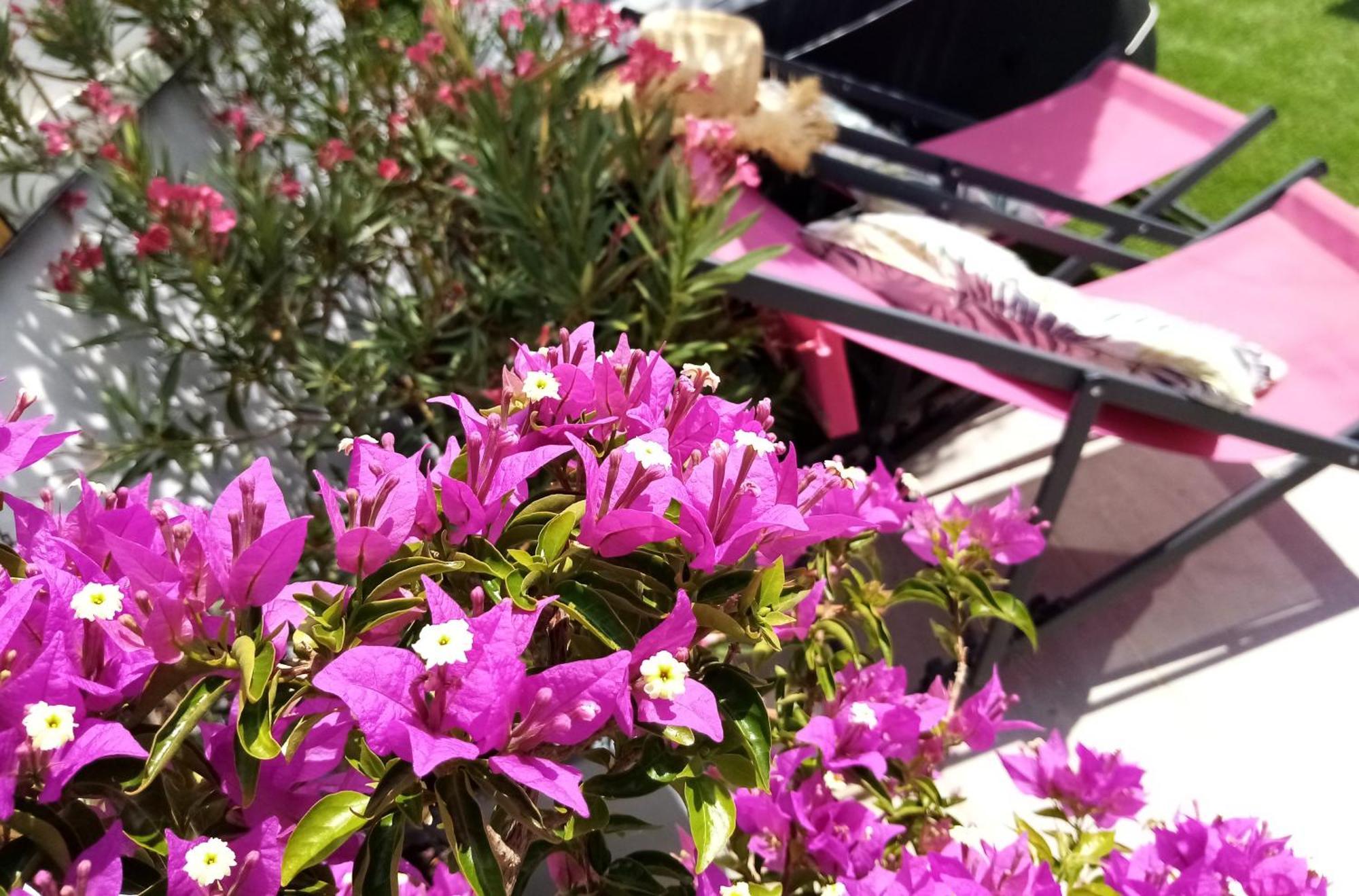 艾格-莫尔特Le Petit Patio住宿加早餐旅馆 外观 照片