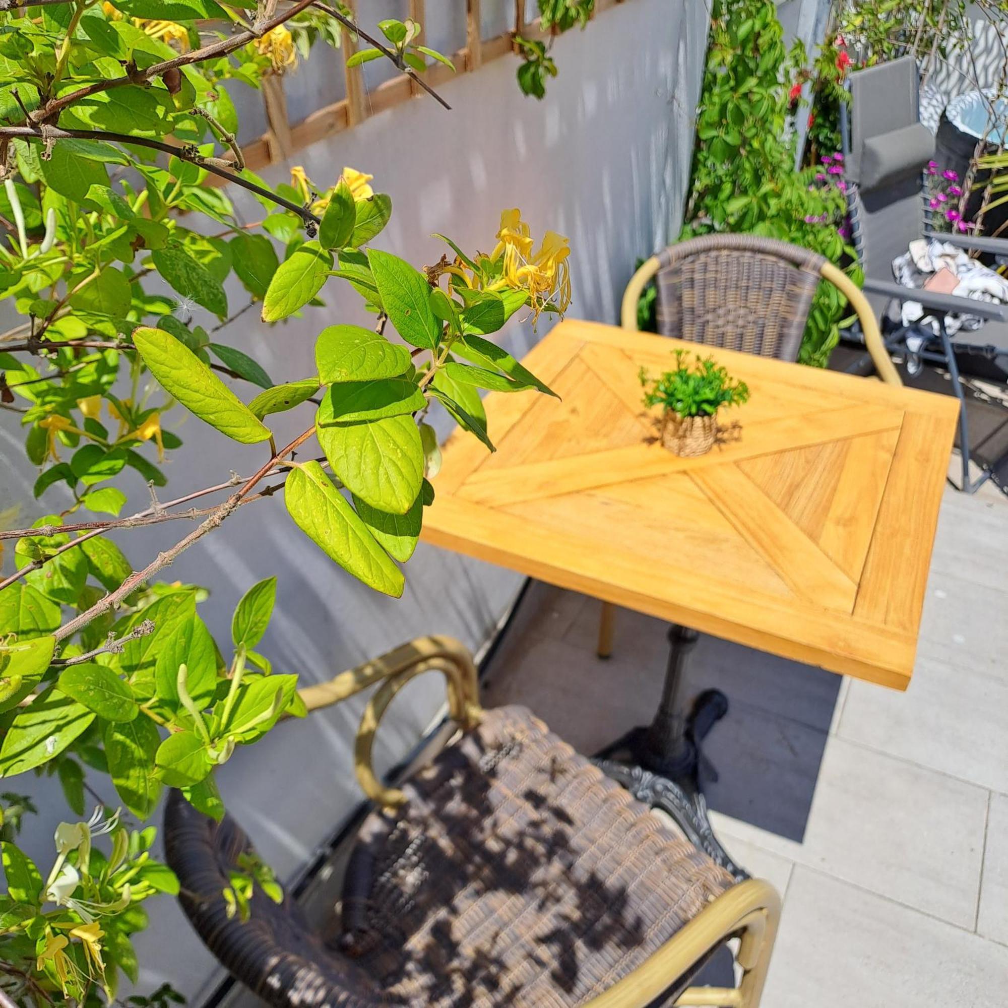 艾格-莫尔特Le Petit Patio住宿加早餐旅馆 外观 照片