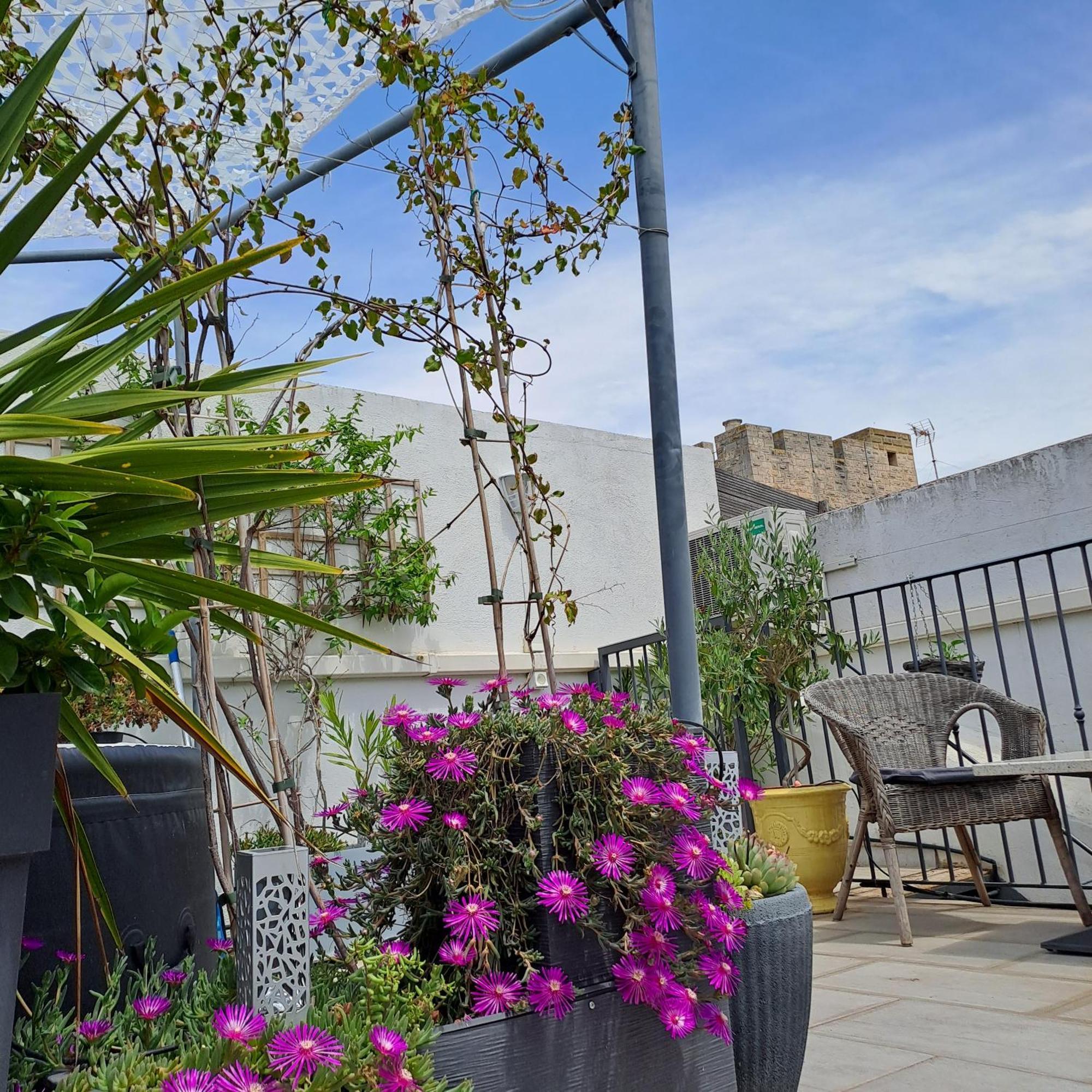艾格-莫尔特Le Petit Patio住宿加早餐旅馆 外观 照片